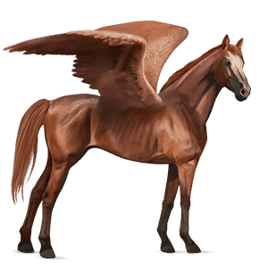 pegaso de montar pura sangre bayo tostado