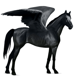 pegaso de montar frisón negro