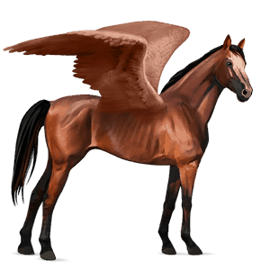 pegaso de montar pura sangre bayo cereza