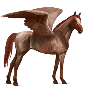 pegaso de montar peruano de paso bayo