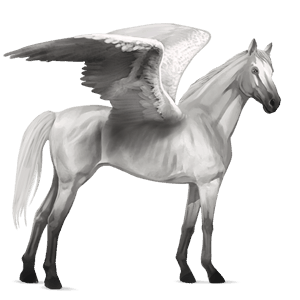 pegaso de montar pura sangre bayo