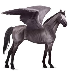 pegaso de montar lusitano isabelo