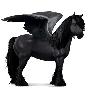 pegaso de montar pura raza española gris tordo