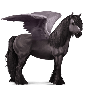 pegaso de montar gypsy vanner pío tobiano gris ratón