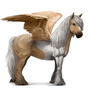 pegaso de montar gypsy vanner gris ratón