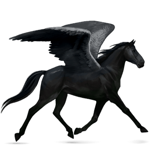 pegaso de montar cuarto de milla negro