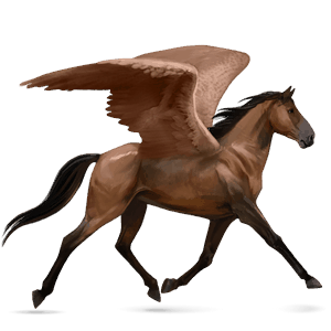 pegaso de montar pura sangre bayo