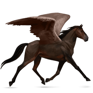 pegaso de montar bayo tostado