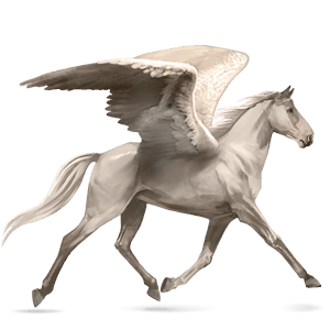 pegaso de montar peruano de paso gris claro