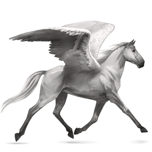 pegaso de montar cuarto de milla gris claro