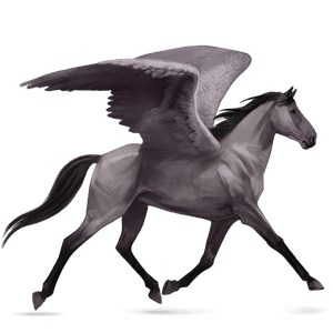 pegaso de montar pura raza española gris tordo