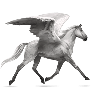 pegaso de montar criollo argentino roano