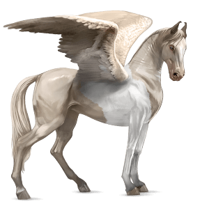 pegaso de montar marwary pío tobiano alazán tostado