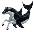 caballo salvaje orca