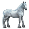 caballo divino greyfell  1