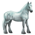 caballo divino greyfell 12