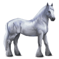 caballo divino greyfell  2