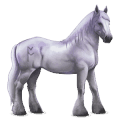 caballo divino greyfell  3