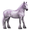 caballo divino greyfell  4