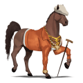 caballo de montar criollo argentino pío tobiano bayo