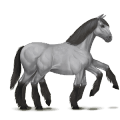 sleipnir gris