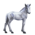 caballo divino greyfell  2