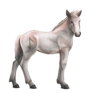 caballo divino greyfell  7